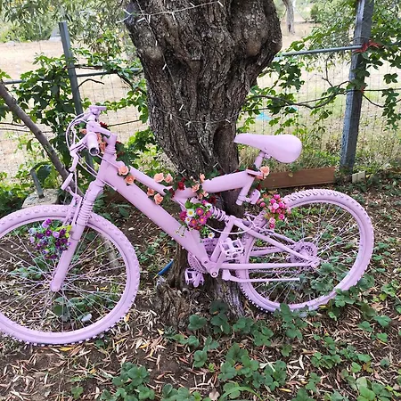 Koula 2-koula Lägenhet