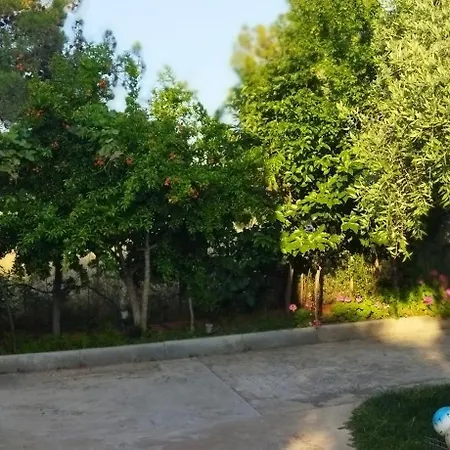 아파트 Koula 2-koula *