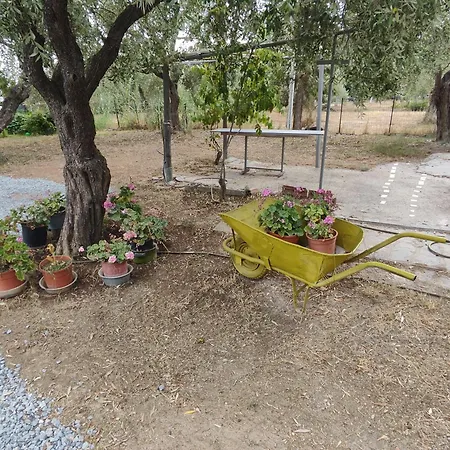 شقة Koula 2-koula