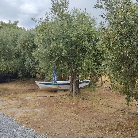 Koula 2-koula بوتوس