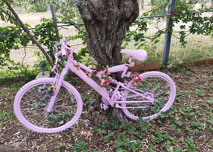 Koula 2-koula 公寓